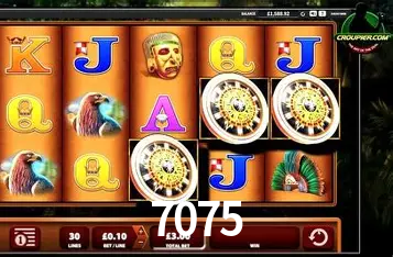 Interface do App 7075